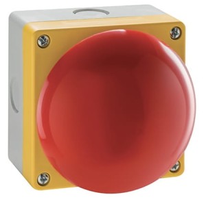 duży przycisk LP9P11R