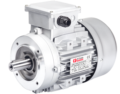 silnik MS 90L2-4