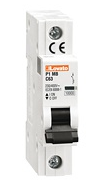wyłącznik nadprądowy P1MB1PC02