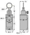 rs131310a.jpg