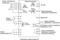 falownik-S100-schemat-std.jpg